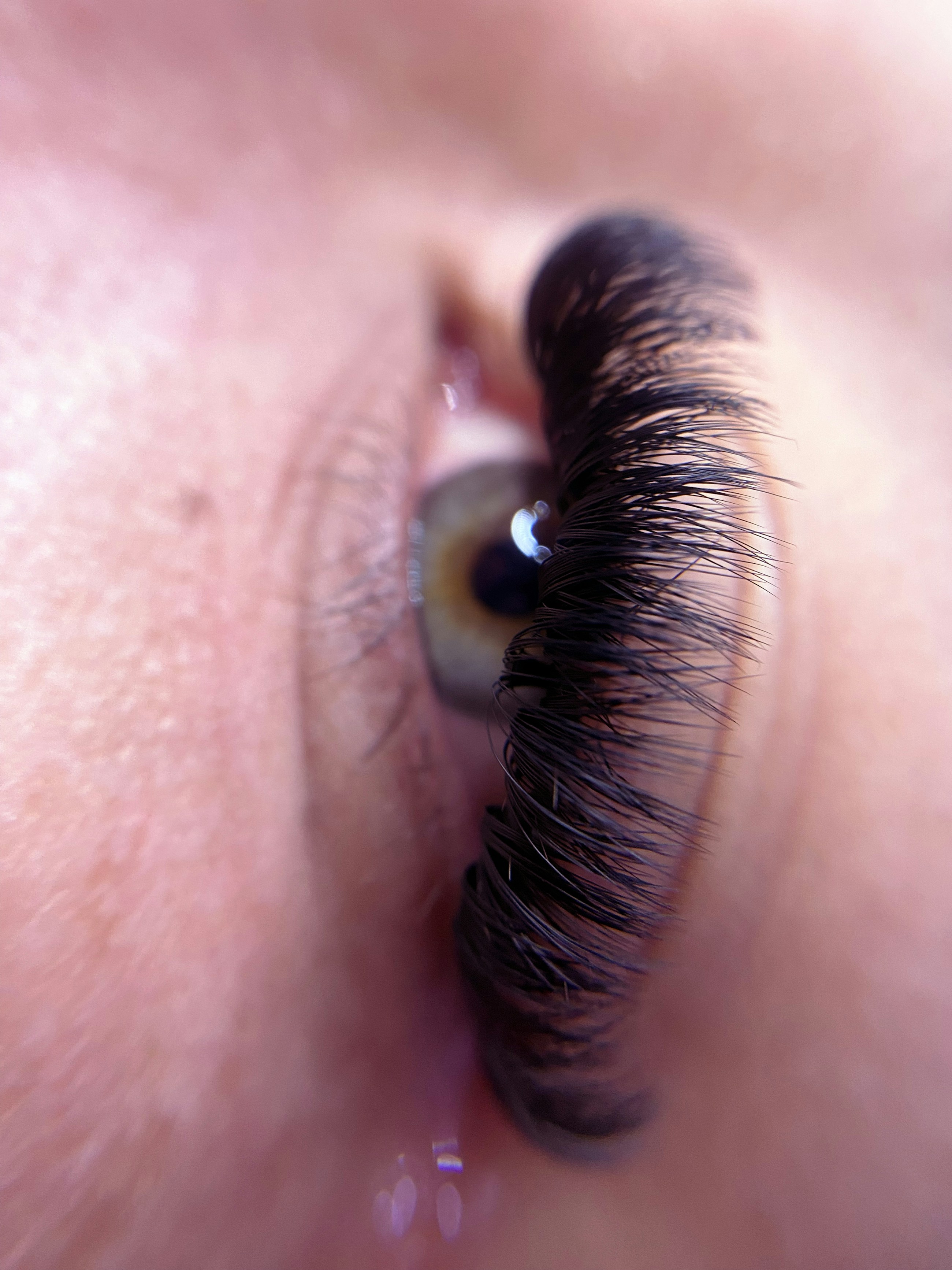 High fidelity macro placeholder of dense lash extension texture on a customer eye